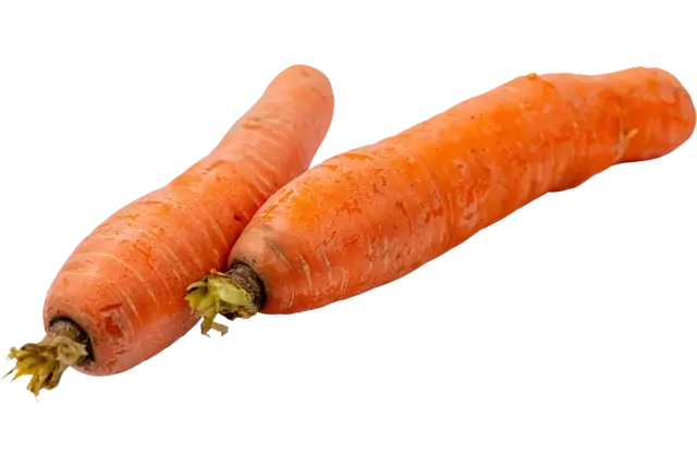 Winterpeen regeneratief kist 5 kilogram